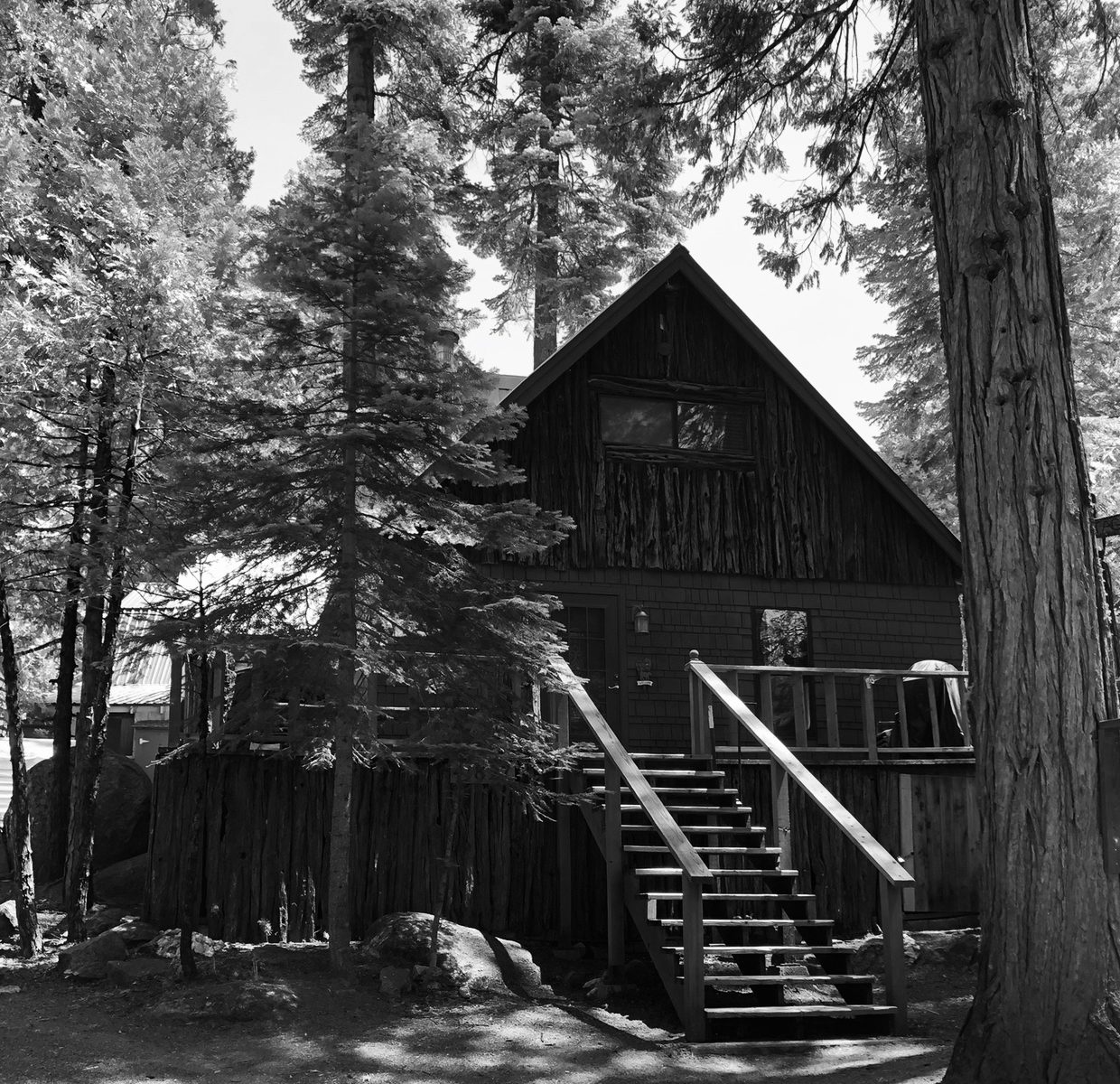 Cottage in the Trees